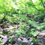 梅田スカイビル　中自然の森