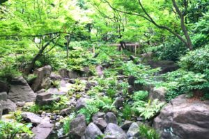 梅田スカイビル　中自然の森