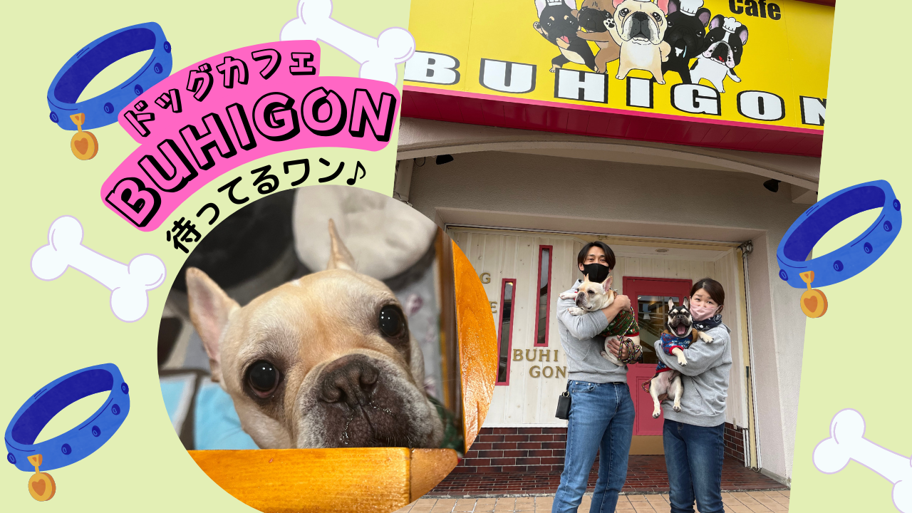 食物アレルギーの犬も安心ドッグカフェbuhigon ぶひごん ドットコムおおさか