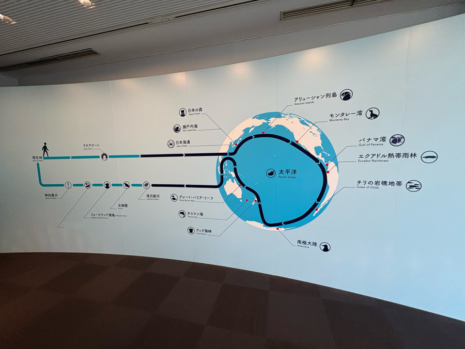 海遊館　水族館　ダイバー　ジンベイザメ　港区　天保山　サメ　水槽　チケット　室内遊び