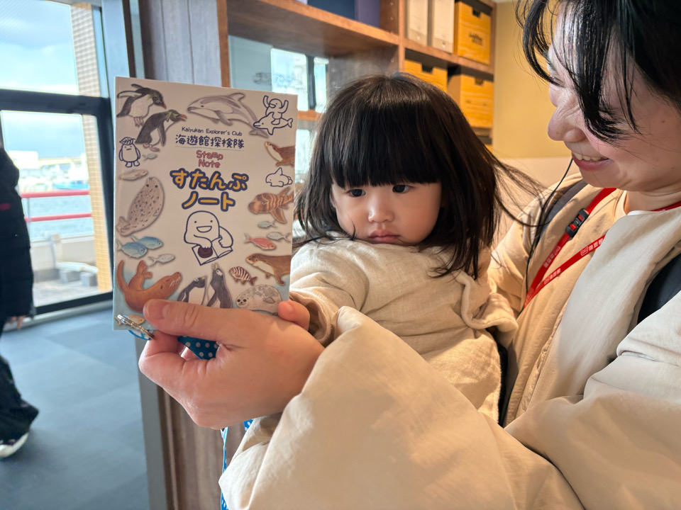 海遊館　水族館　港区　天保山　サメ　水槽　チケット　室内遊び