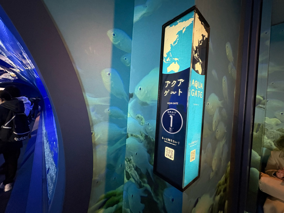 海遊館　水族館　港区　天保山　サメ　水槽　チケット　室内遊び