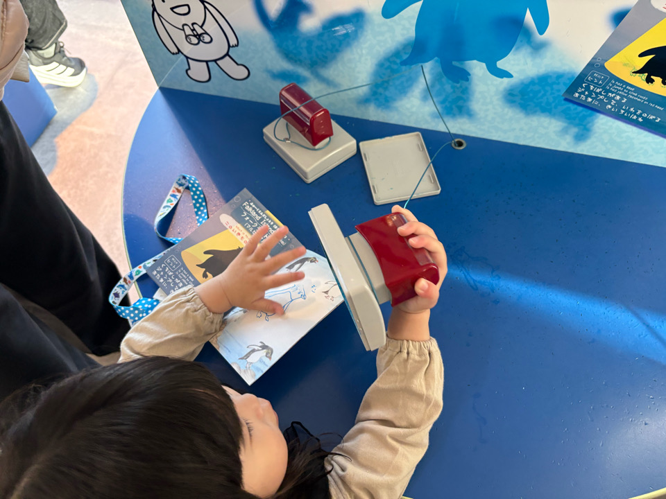 海遊館　水族館　港区　天保山　サメ　水槽　チケット　室内遊び