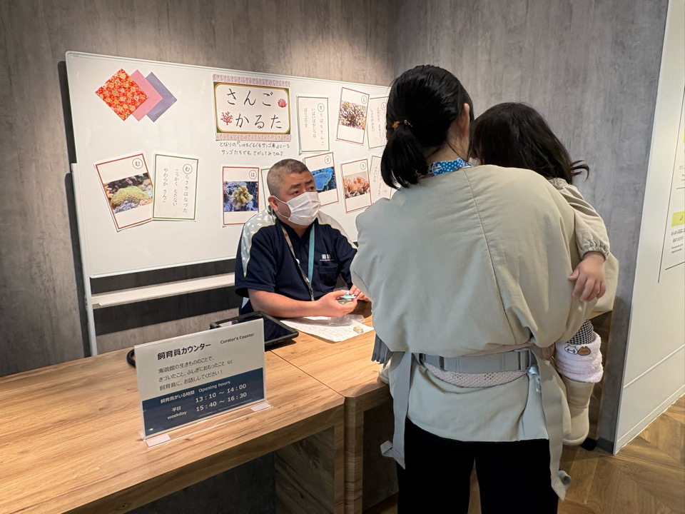 海遊館　水族館　港区　天保山　サメ　水槽　チケット　室内遊び
