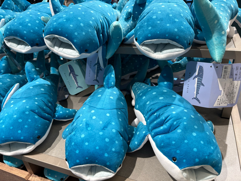 海遊館　水族館　港区　天保山　サメ　水槽　チケット　室内遊び