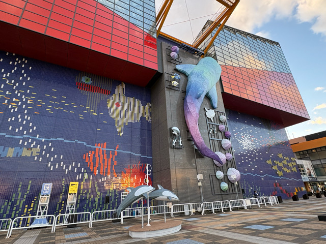 海遊館　水族館　港区　天保山　サメ　水槽　チケット　室内遊び
