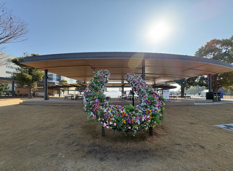 京都　京都競馬場　競馬　馬　ふれあい　乗馬　餌やり　ボーネルンド　Paka Run！　パカラン　ふわふわドーム