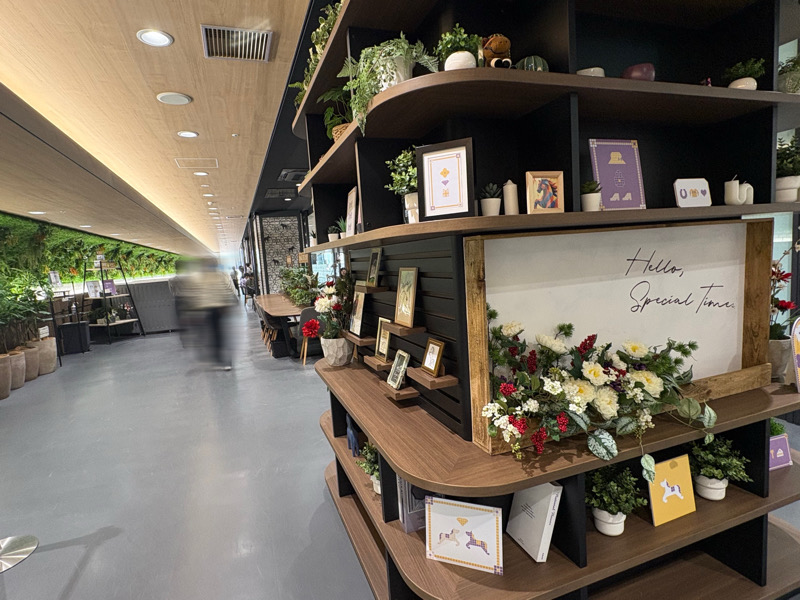 京都　京都競馬場　競馬　馬　ふれあい　乗馬　餌やり　ボーネルンド　Paka Run！　パカラン　ふわふわドーム