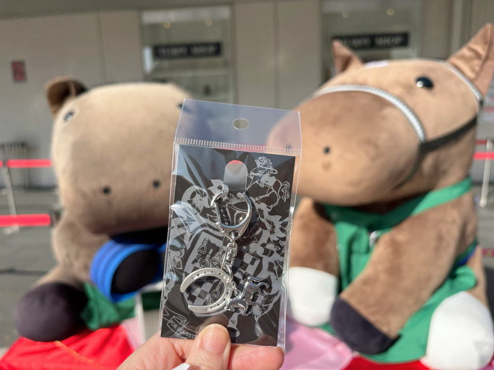 京都　京都競馬場　競馬　馬　ふれあい　乗馬　餌やり　ボーネルンド　Paka Run！　パカラン　ふわふわドーム