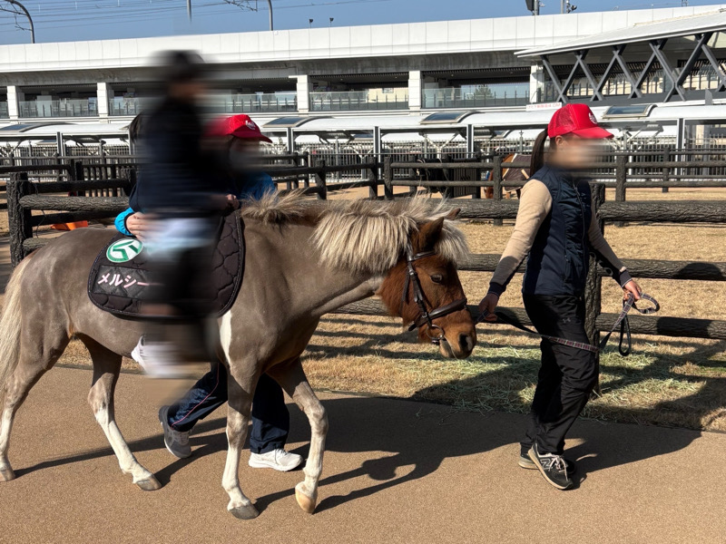 京都　京都競馬場　競馬　馬　ふれあい　乗馬　餌やり　ボーネルンド　Paka Run！　パカラン　ふわふわドーム