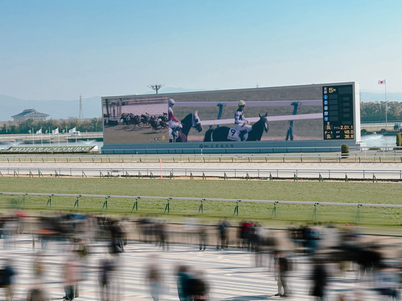 京都　京都競馬場　競馬　馬　ふれあい　乗馬　餌やり　ボーネルンド　Paka Run！　パカラン　ふわふわドーム