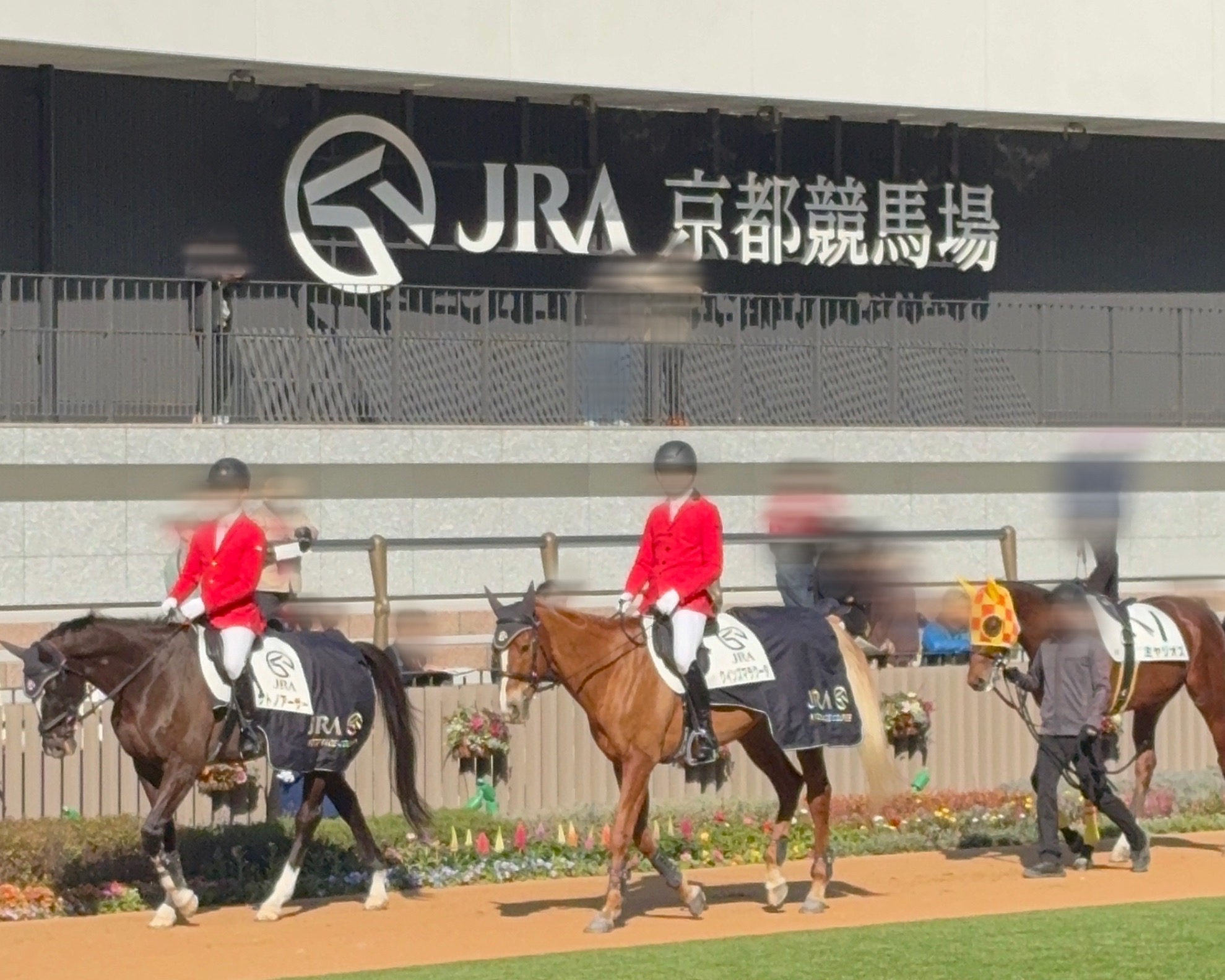 京都　京都競馬場　競馬　馬　ふれあい　乗馬　餌やり　ボーネルンド　Paka Run！　パカラン　ふわふわドーム