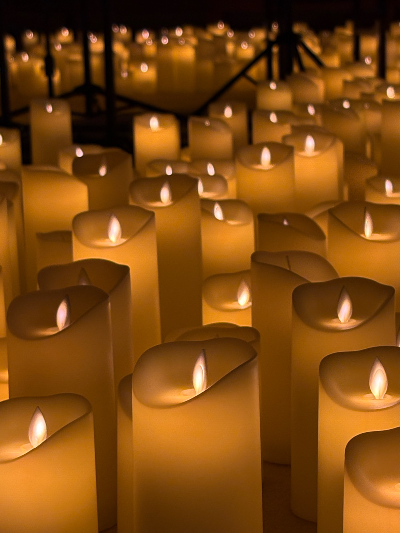 中央区　大槻能楽堂　キャンドルコンサート　 candlelight コンサート　コンサート　キャンドル　弦楽四重奏　バイオリン　クラシック　ジブリ　名曲