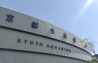 京都水族館、ペンギン
