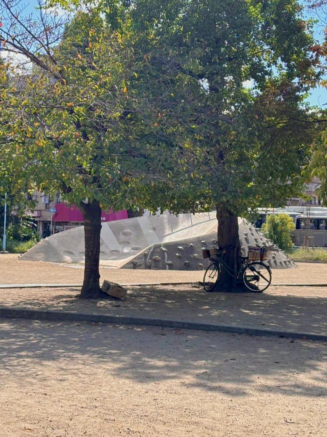 港区　磯路中央公園　すり鉢状遊具