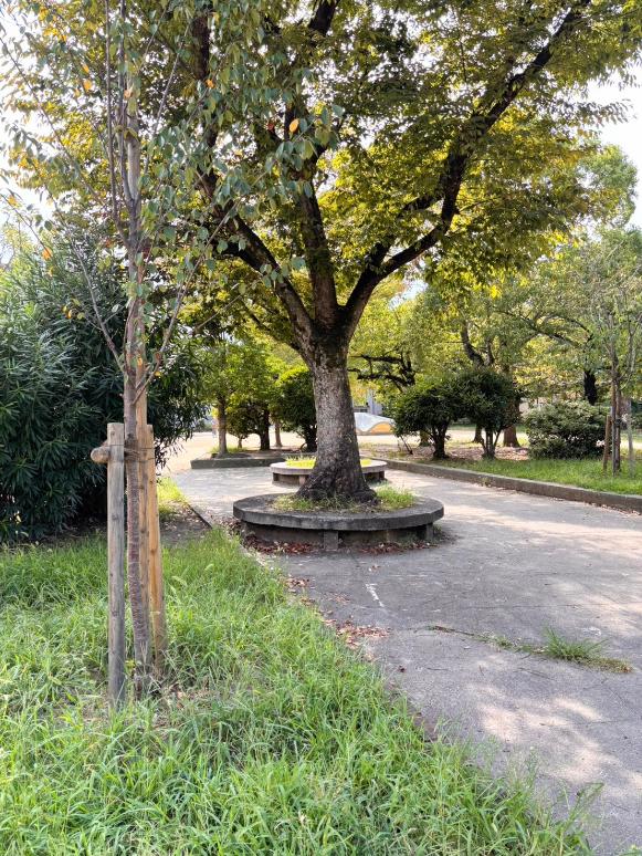 此花区　此花公園　ベンチ