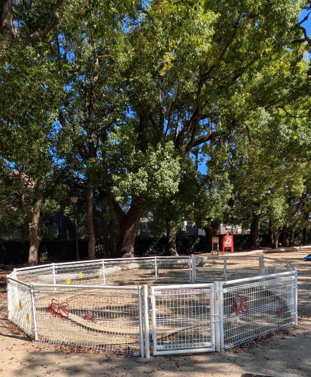 東住吉区　長居公園　北こども広場　ぶら下がり運動器具