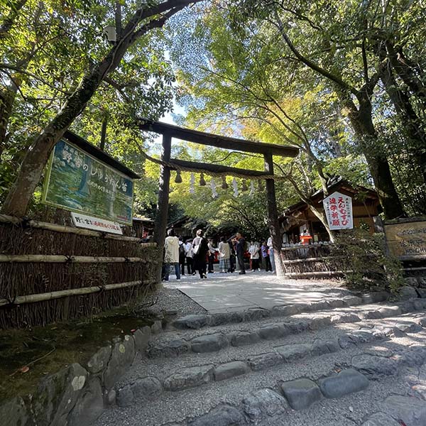 京都　嵐山　食べ歩き　野宮神社