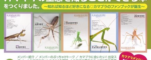 カマキリ博士、カマキリブラザーズ、オーム社