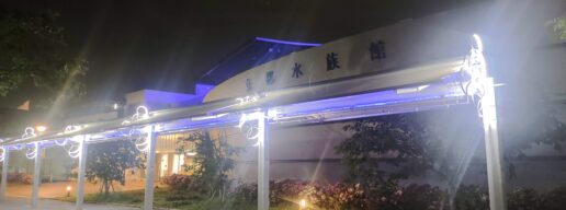 京都水族館、夜のすいぞくかん