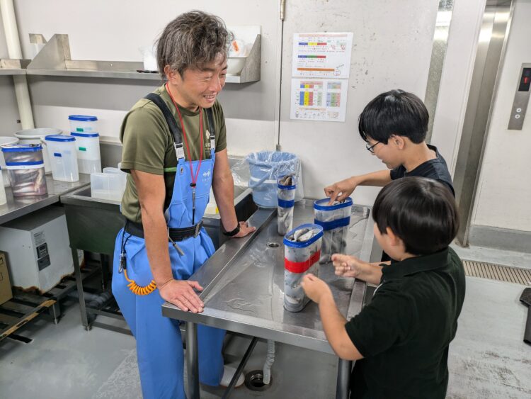 京都水族館、イルカのがっこう