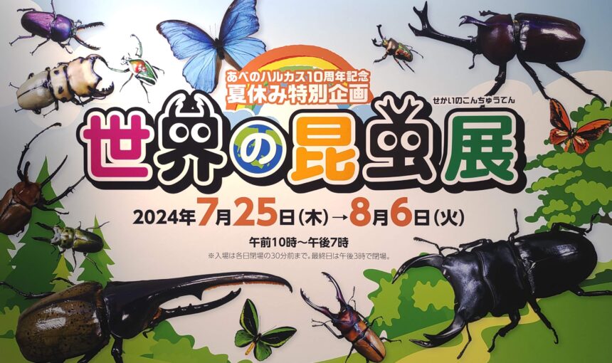 昆虫展、あべのハルカス近鉄本店