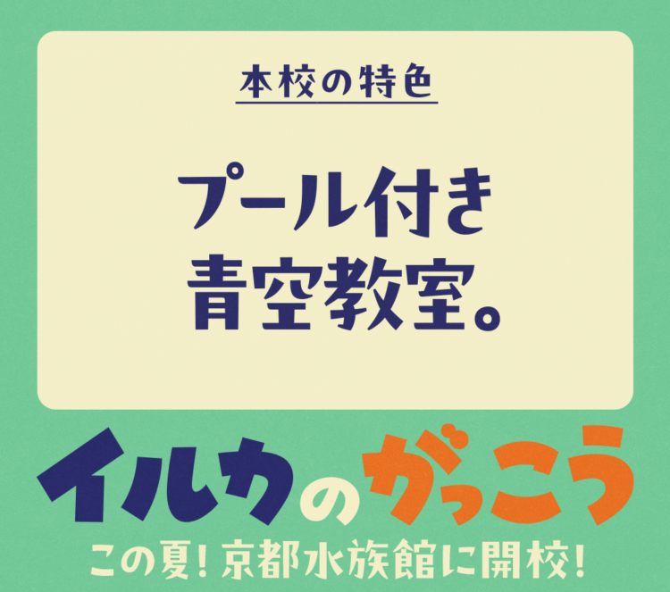 京都水族館、イルカのがっこう