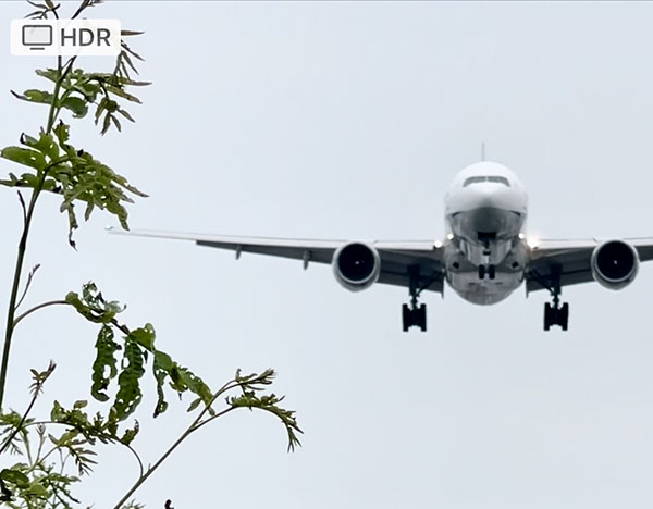 伊丹空港　千里川土手　穴場