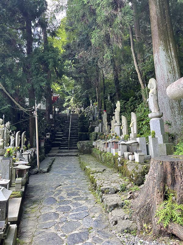 生駒山上遊園地　生駒山　ハイキング　関西　登山　遊園地　登山