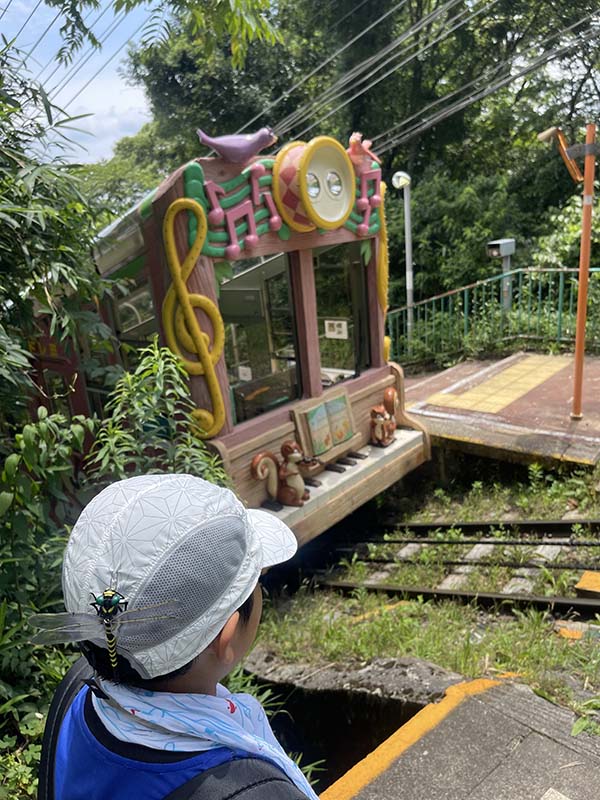 生駒山上遊園地　生駒山　ハイキング　関西　登山　遊園地　登山