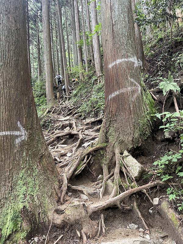 金剛山　千早赤阪村　ちはや星と自然のミュージアム　寺谷ルート　関西登山　関西　避暑地　大阪