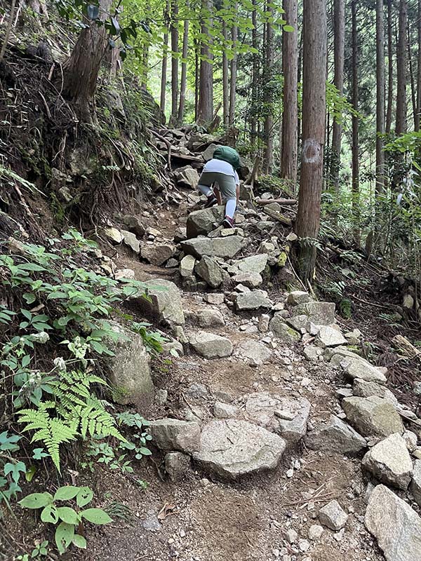 金剛山　千早赤阪村　ちはや星と自然のミュージアム　寺谷ルート　関西登山　関西　避暑地　大阪