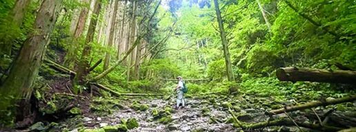 金剛山　千早赤阪村　ちはや星と自然のミュージアム　寺谷ルート　関西登山　関西　避暑地　大阪