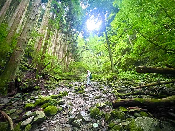 金剛山　千早赤阪村　ちはや星と自然のミュージアム　寺谷ルート　関西登山　関西　避暑地　大阪