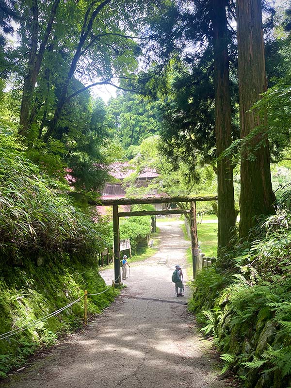 金剛山　千早赤阪村　ちはや星と自然のミュージアム　寺谷ルート　関西登山　関西　避暑地　大阪