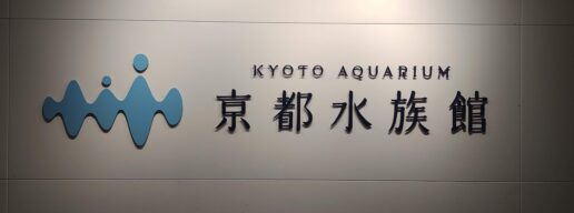 夜のすいぞくかん、京都水族館