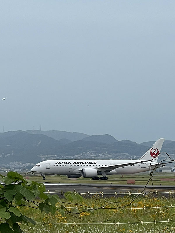 伊丹空港　千里川土手