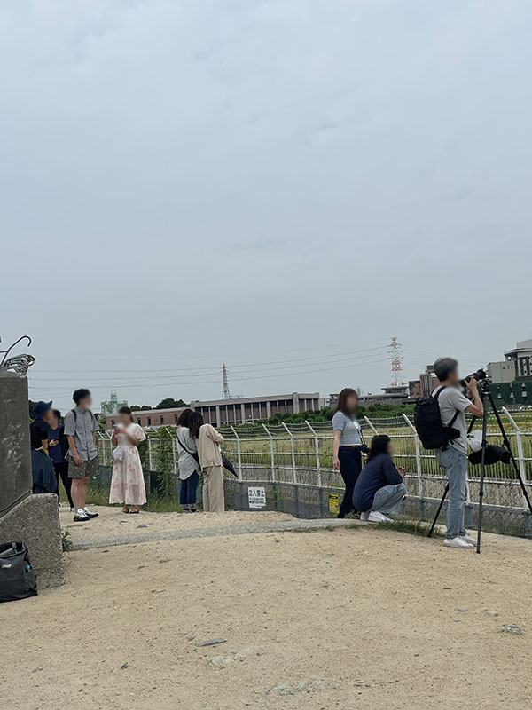 伊丹空港　千里川土手