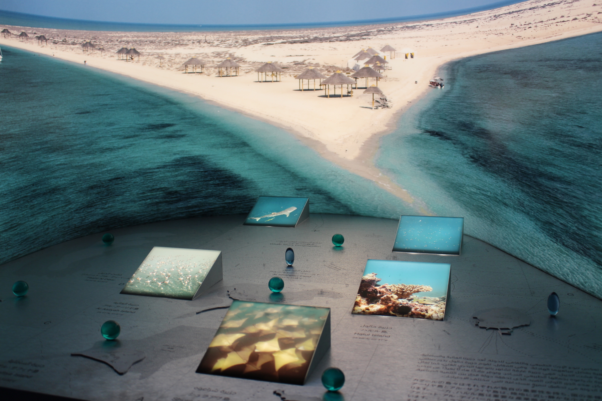 真珠より化石燃料を選んだカタールはリッチな国 万博ストーリーズ