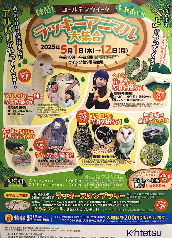 あべのハルカス近鉄本店、あべの★天王寺ええEXPO