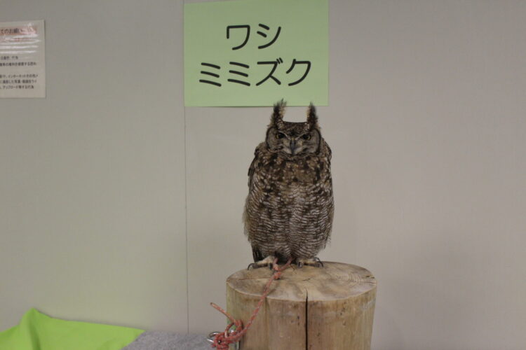 あべのハルカス近鉄本店、あべの★天王寺ええEXPO