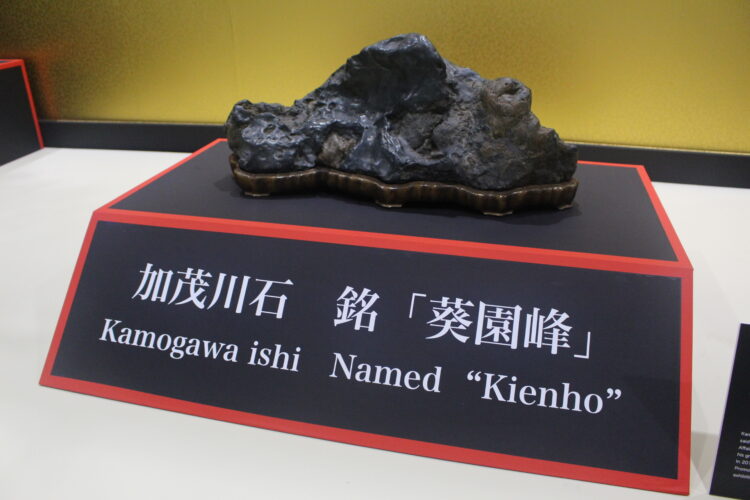 盆栽、万博