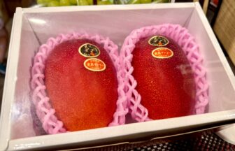 ichica マンゴー　フルーツ