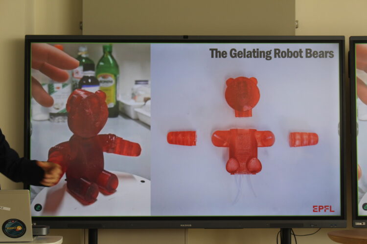 スイス、ロボット、万博
