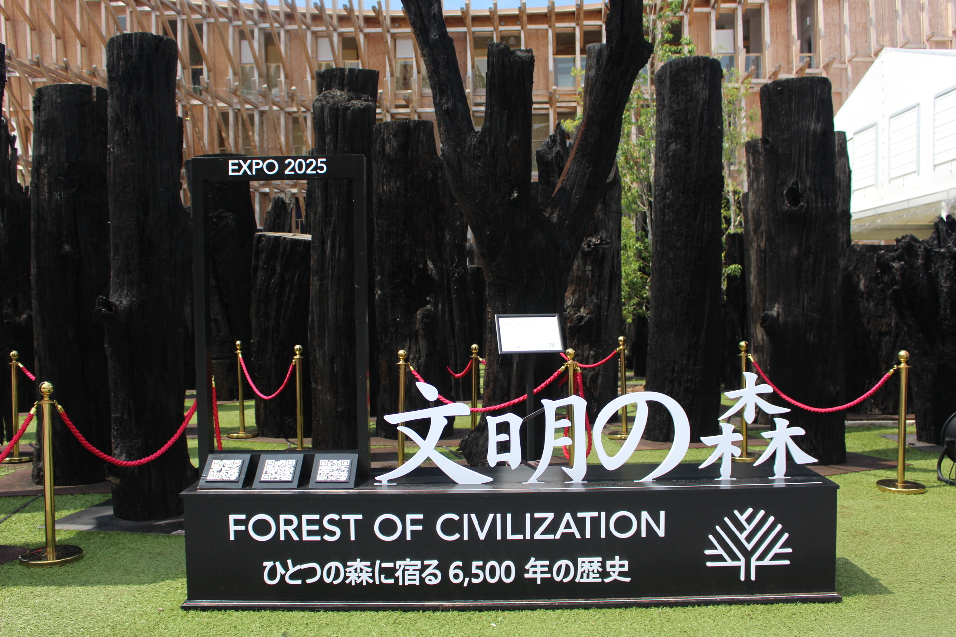 万博会場に聳えるForest of Civilizations(文明の森) 万博