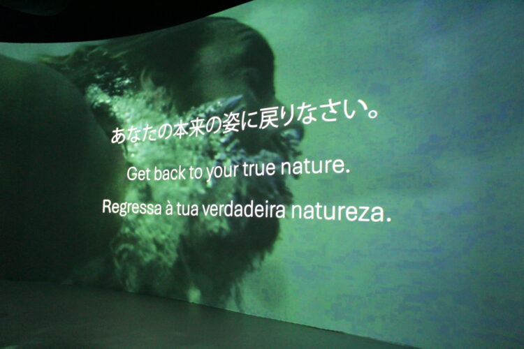 ポルトガル、万博