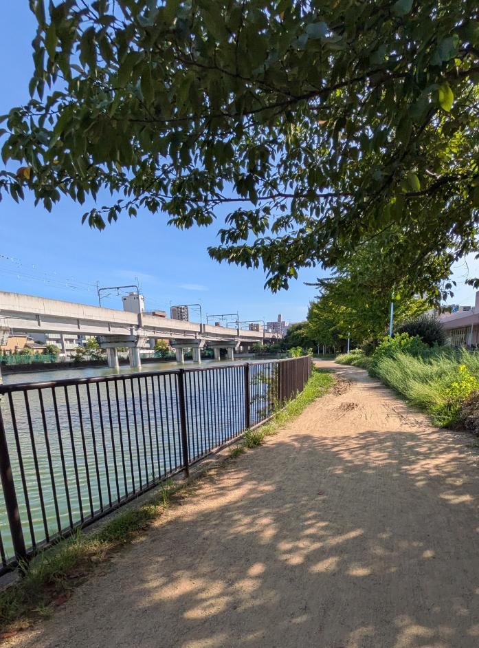 阿倍野区　長池公園　散歩道