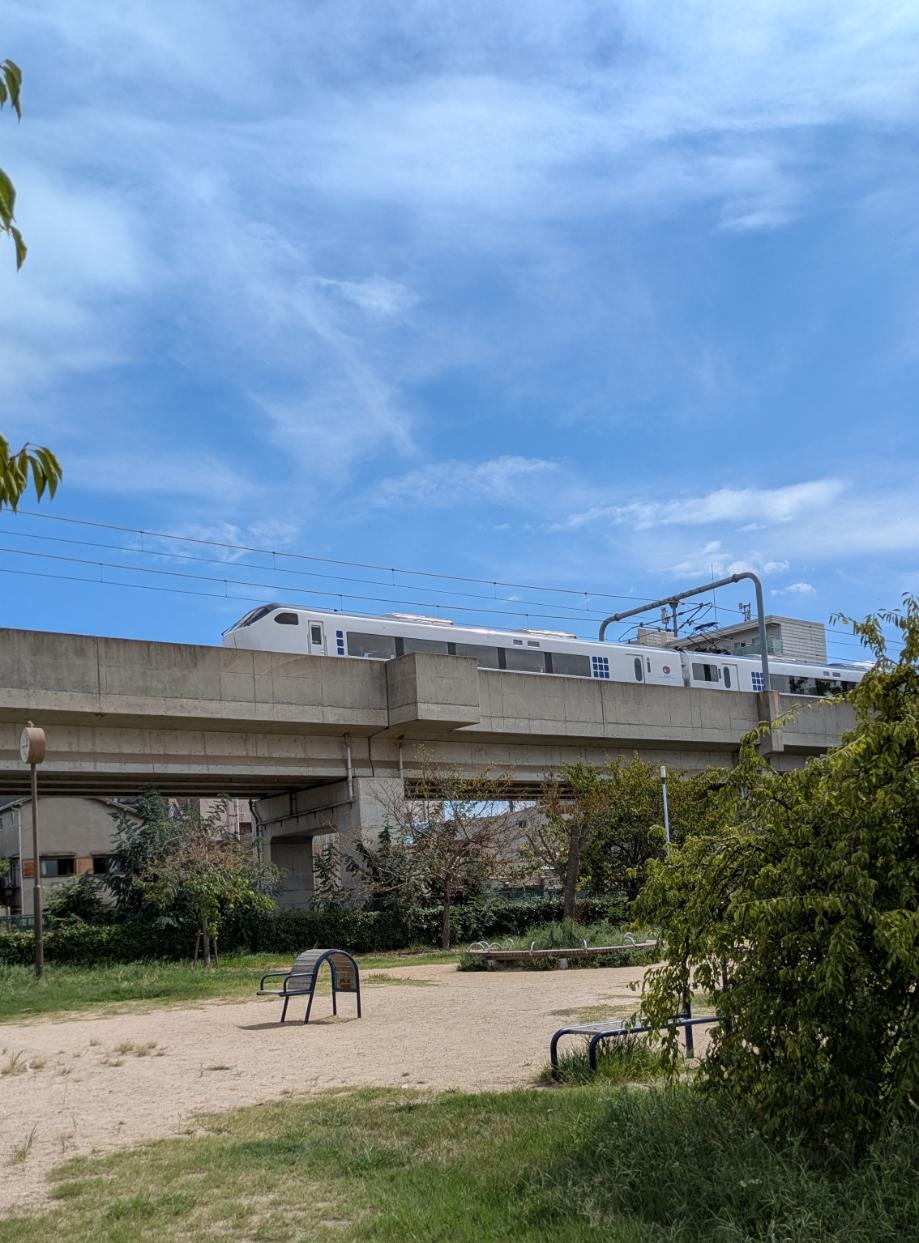 阿倍野区長池公園　JR阪和線の電車
