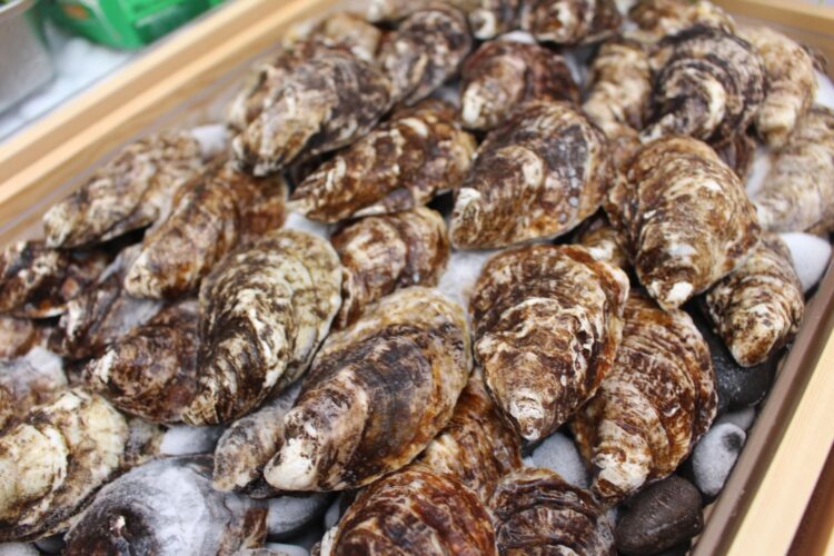 カナダ、万博、プリンスエドワード島