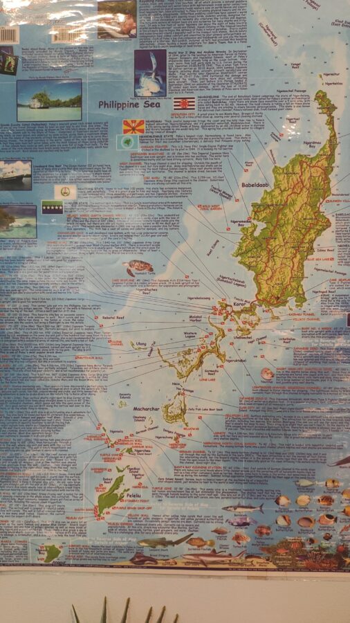 パラう、万博